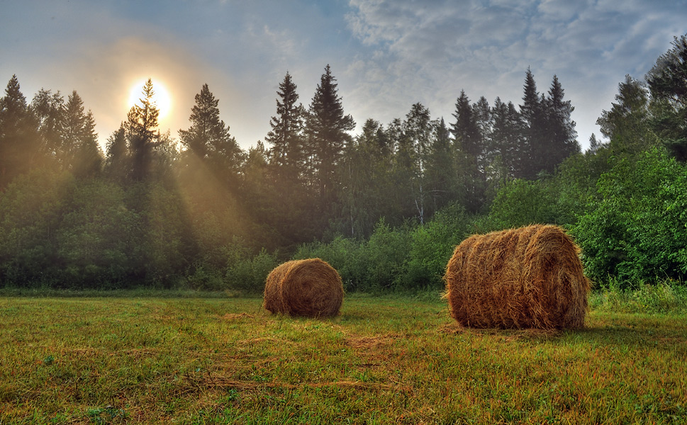 Сенокос деревня природа