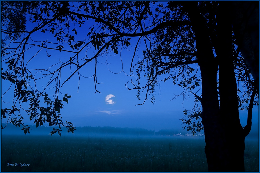 Печальные поляны. Печальная Луна. Вечером синим вечером лунным. Ночной мрак природы.