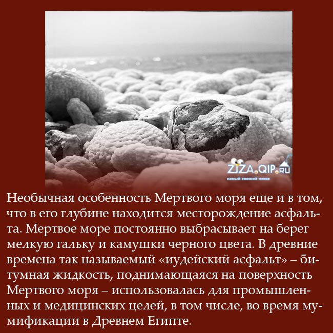 Описание мертвого моря. Рассказ о Мертвом море. Мертвое море факты. Интересные факты о море. Интересные факты о Мертвом море.