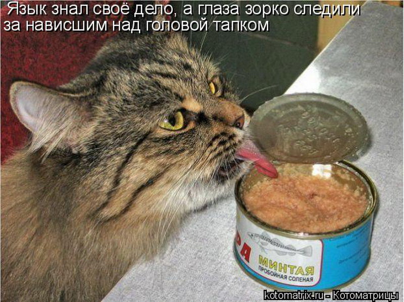 А царица вдруг пропала будто вовсе не бывало. Я переживаю вдруг у вас все хорошо. Ой леха леха. Радуйся жизни цитаты. Вдруг нету.