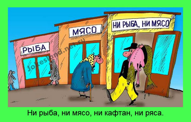 Фразеологизм ни рыба. Ни рыба ни мясо. Ни рыба ни мясо фразеологизм. Нирыбанимясо. Ни рыба ни мясо карикатура.