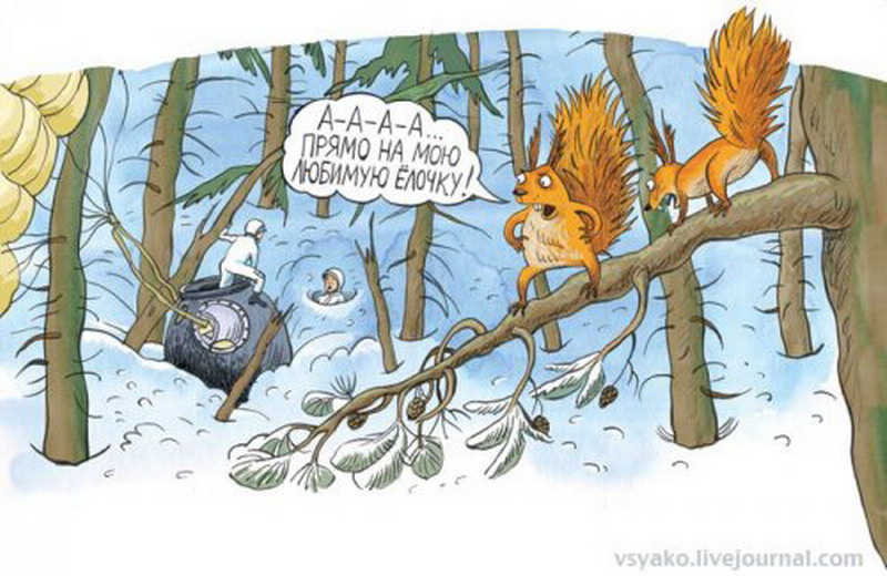 Юмор про белочку картинки