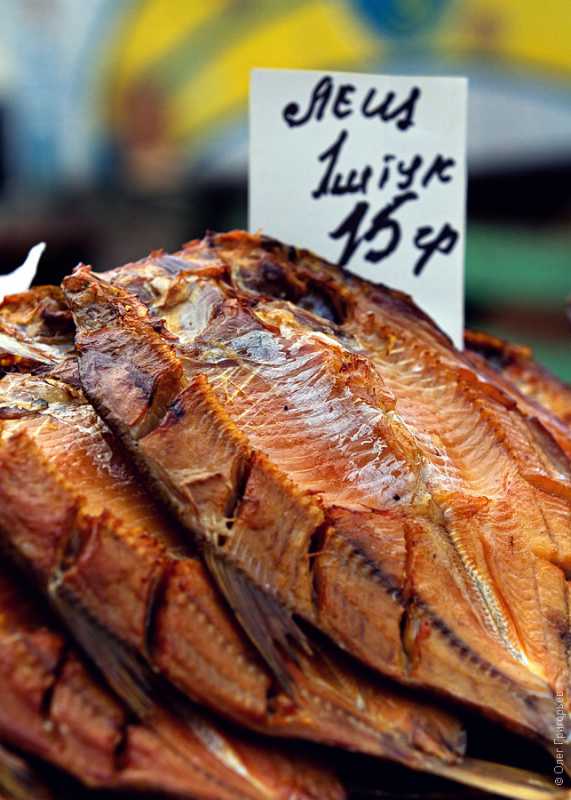 ������ ���� �� �������