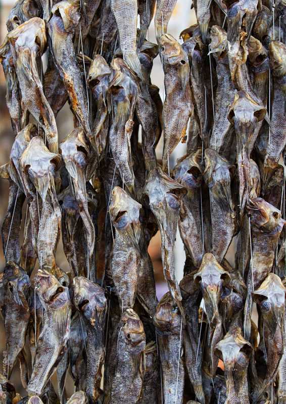 ������ ���� �� �������