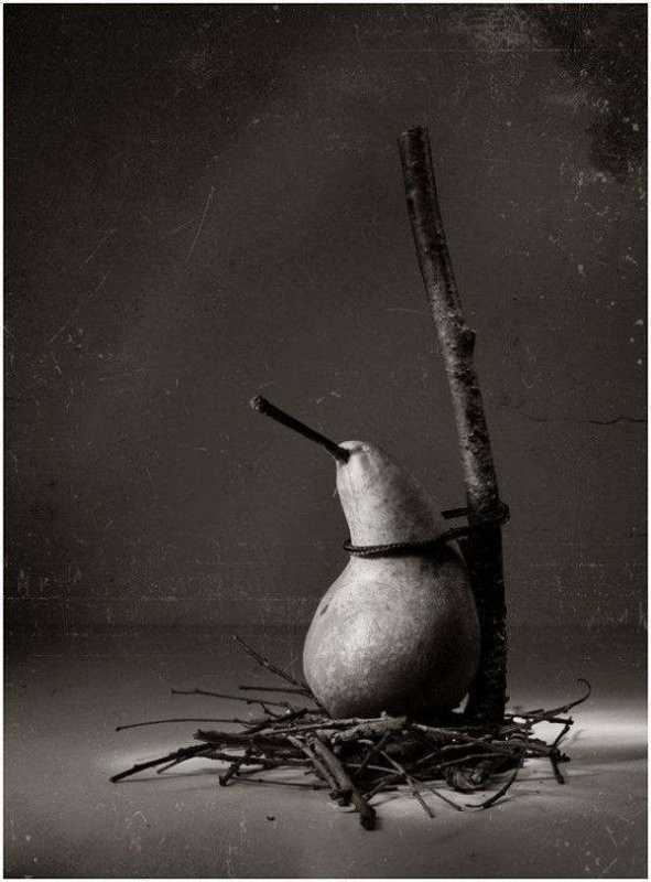 �������� 84.