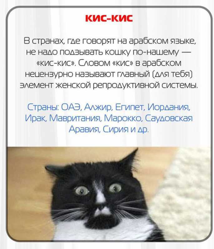 ����������� ������������.