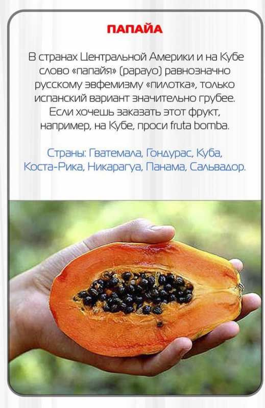 ����������� ������������.