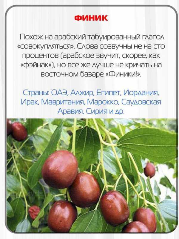 ����������� ������������.