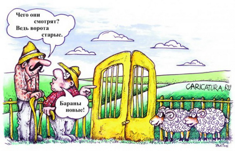 Упертый человек картинки