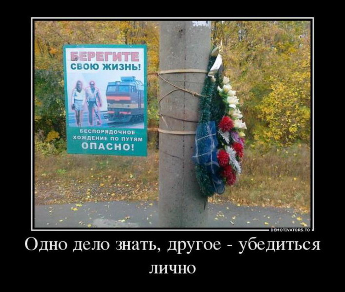 Мы знаем дело в