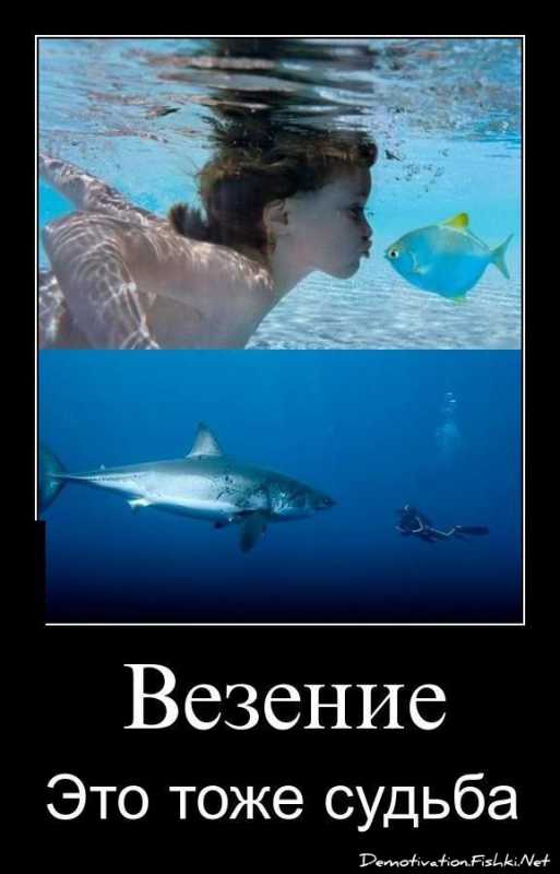 ������������.