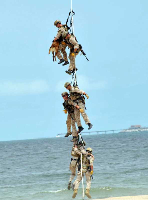 �������� 123.