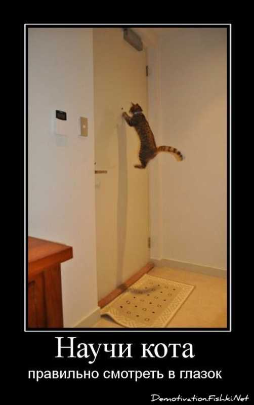 ������������.