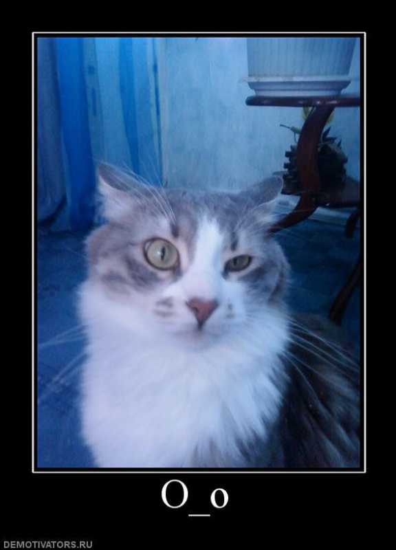 ������������.