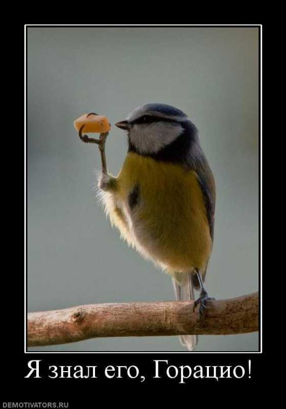 ������������.