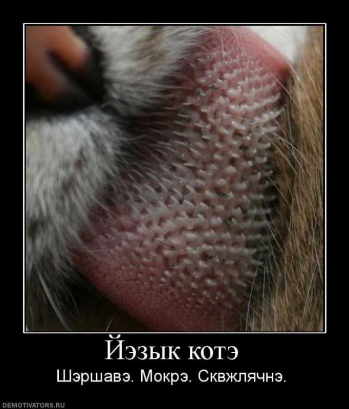 ������������.