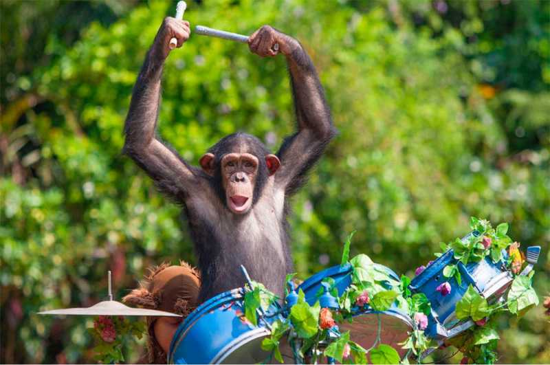 �������� - 70.