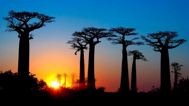 �������� - 70.