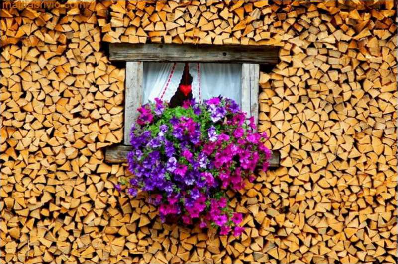 ��� ���������� �����