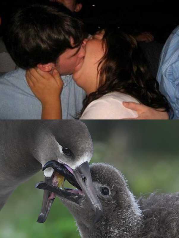 �������� - 90.