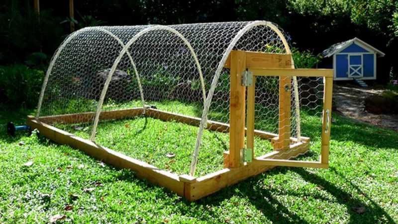 ��� ����� ���������