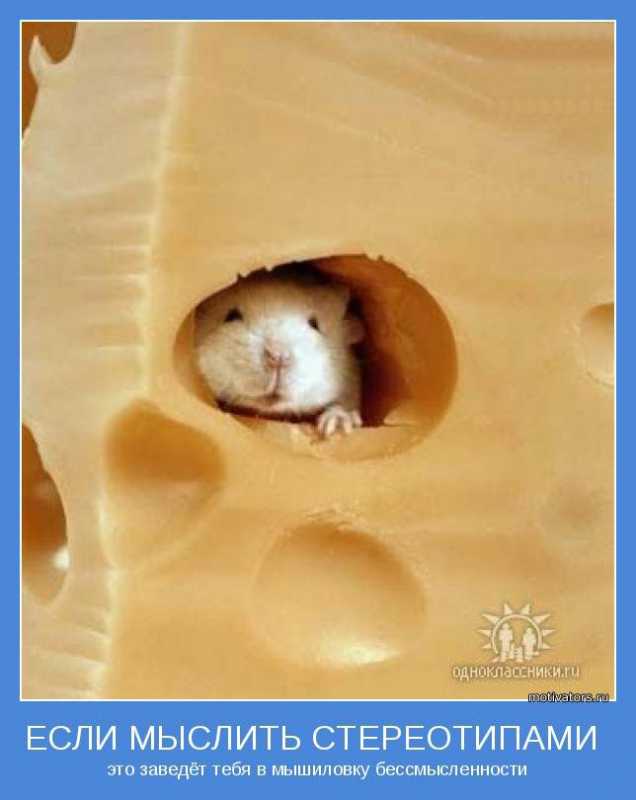 ����������.