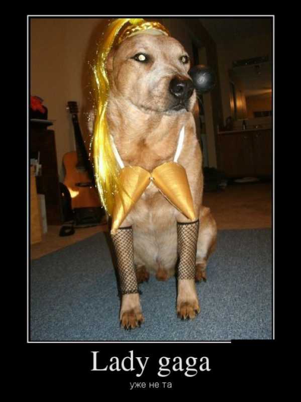 ������������.