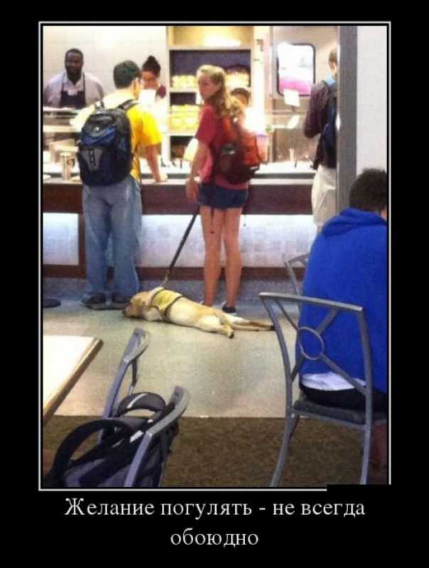 ������������.