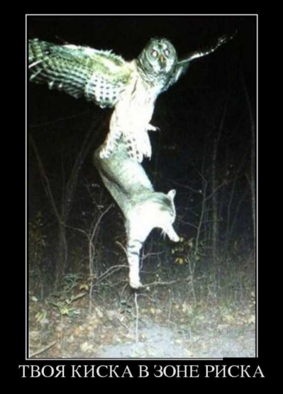 ������������.