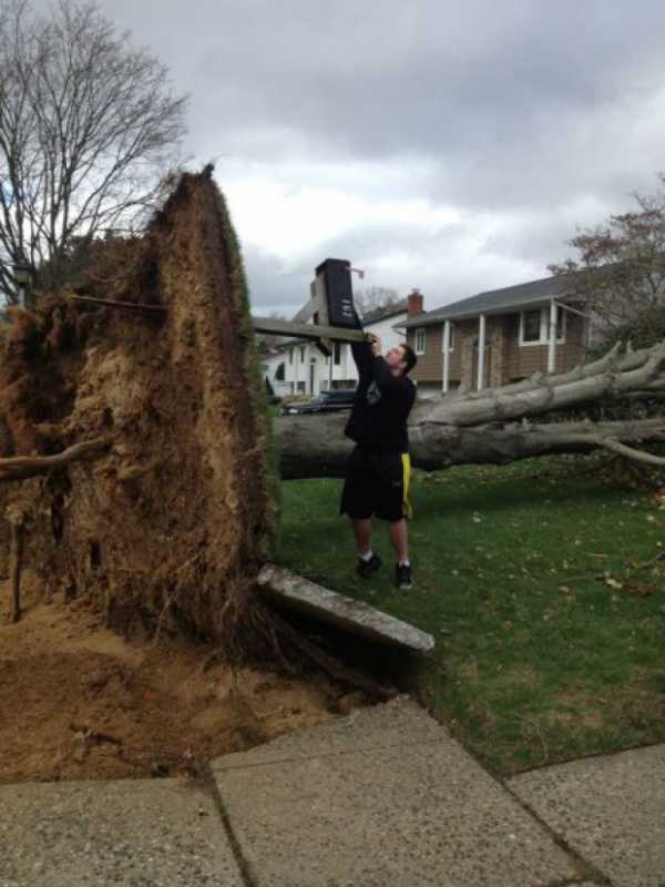 �������� - 96.