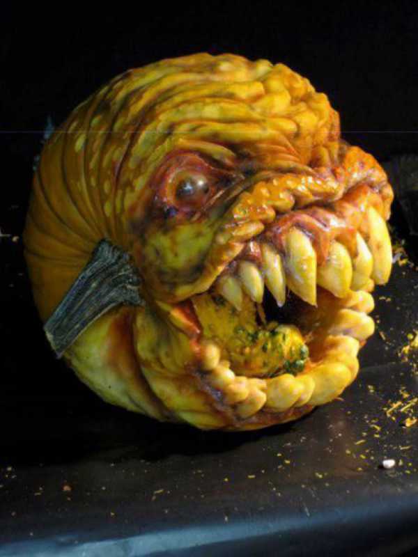 �������� - 96.