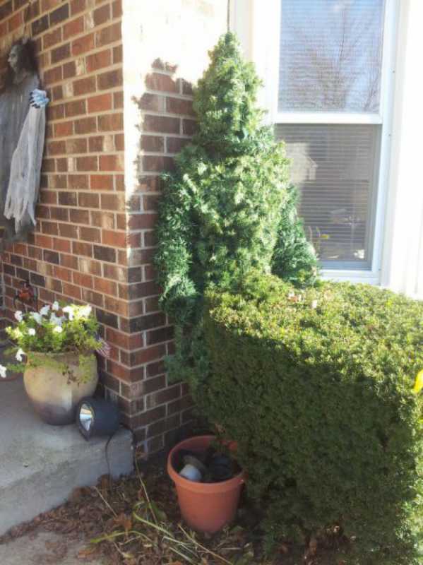 �������� - 96.