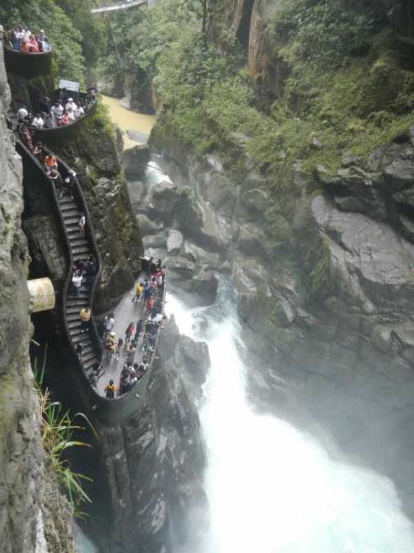 �������� - 88.