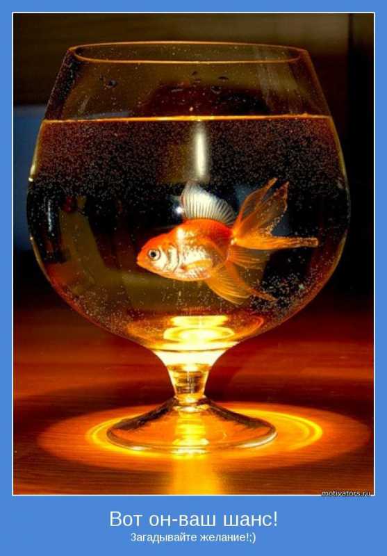 ����������.