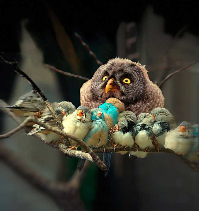 �������� - 104.