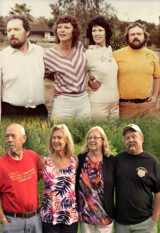 ��������-87