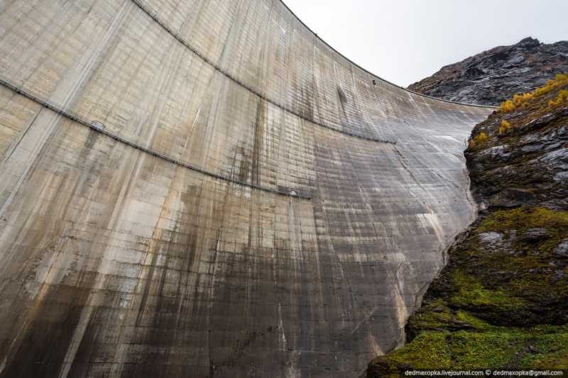 ������� ��������.