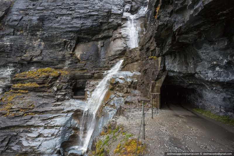 ������� ��������.