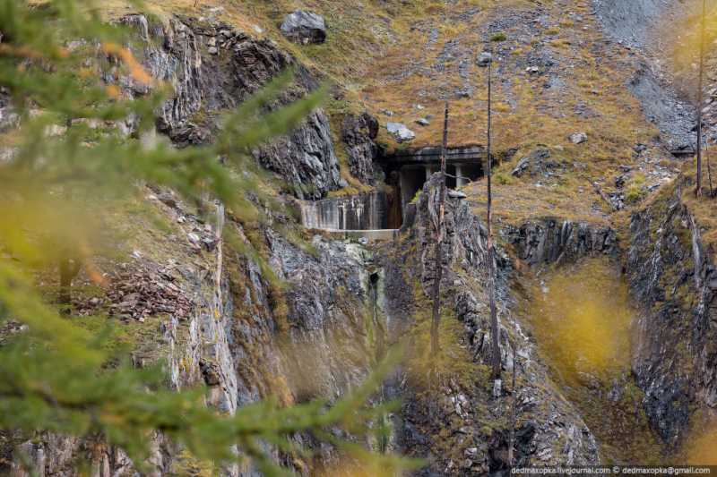 ������� ��������.