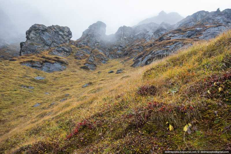 ������� ��������.