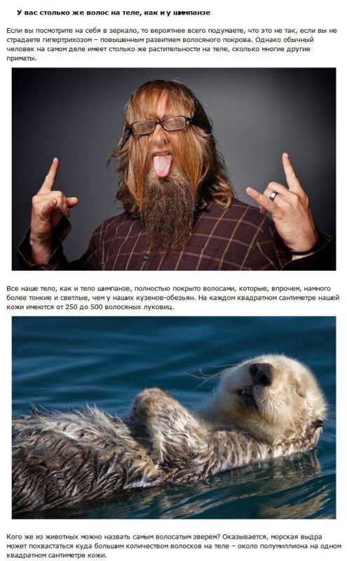 10 ������ � ���