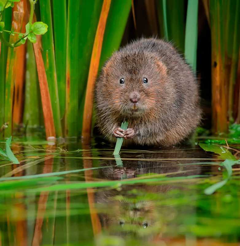 �������� 137.