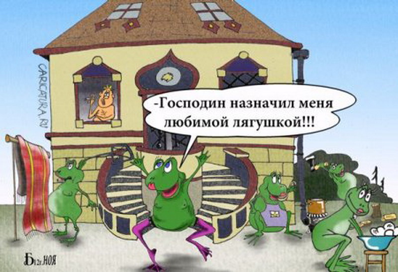 Господин Назначил Меня Любимой Женой Прикол