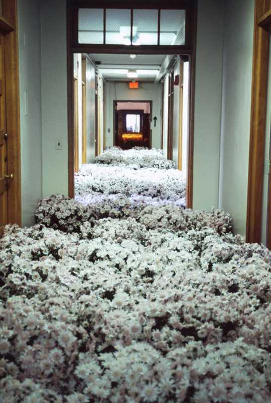 �������� 104....