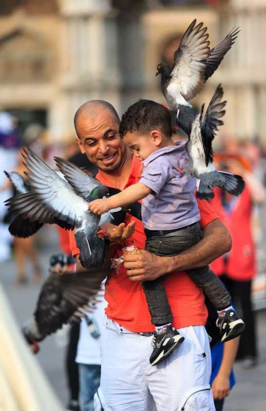 �������� - 93.