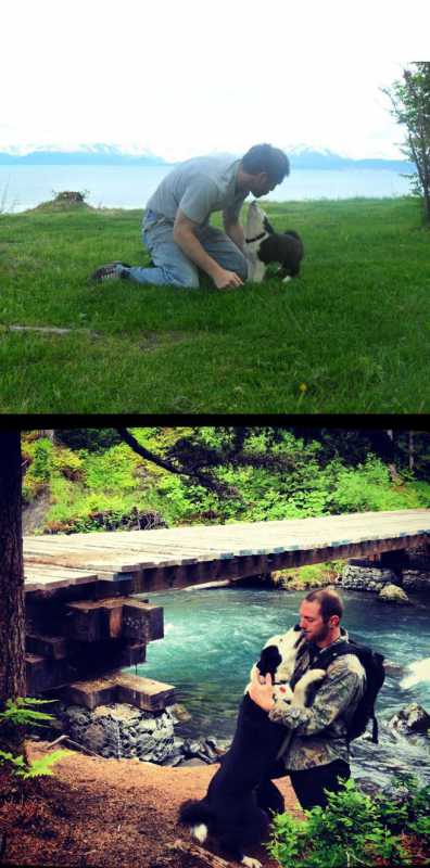 �������� - 87.