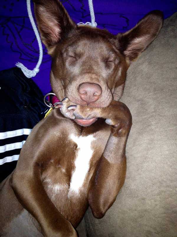 �������� 117....