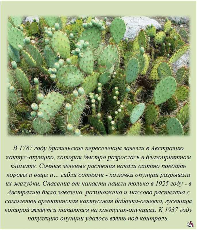 ������������ �����