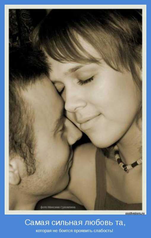 ����������.