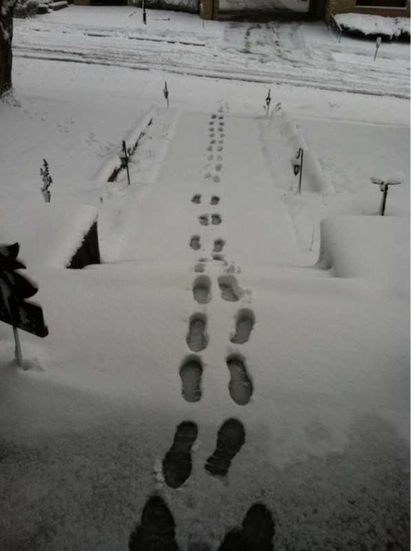 �������� - 106.